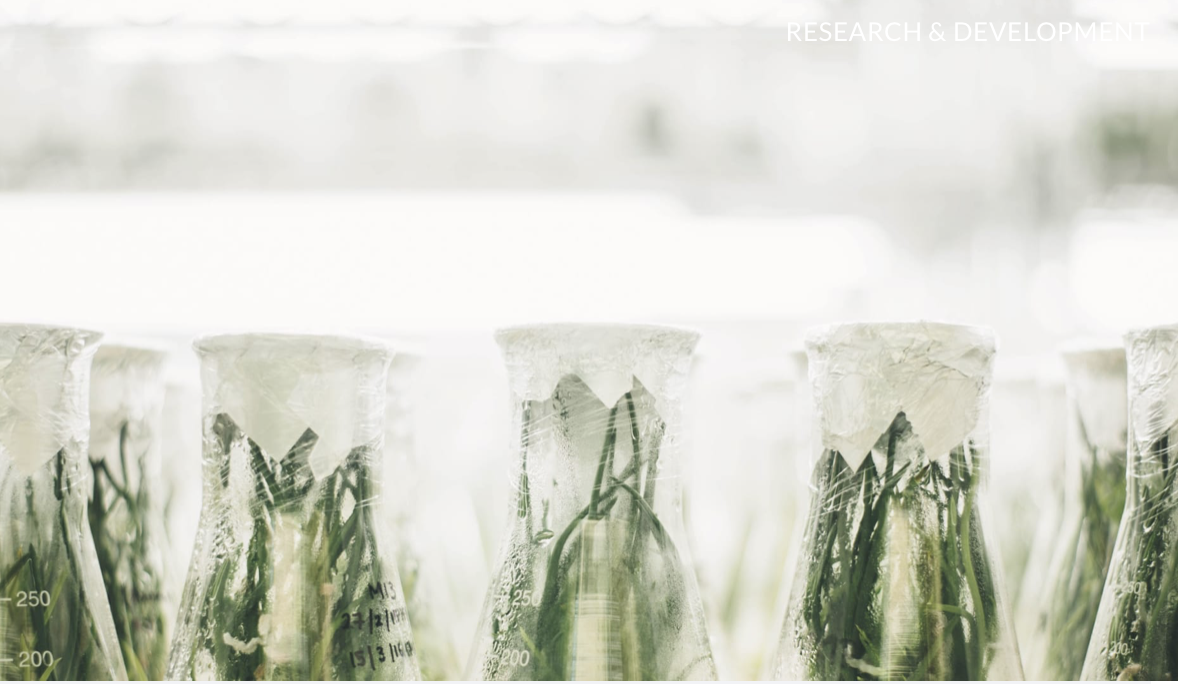 ノンジアミンカラーのイメージ画像